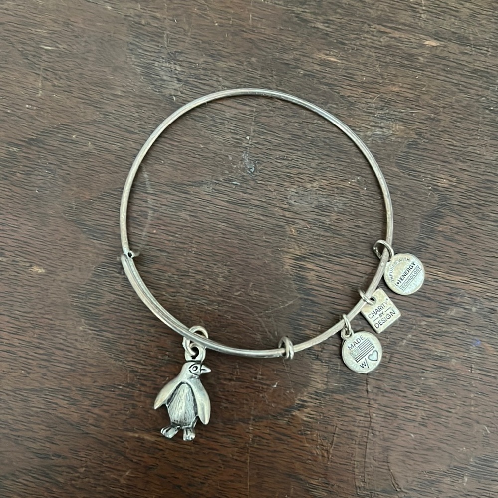 Alex and Ani penguin bracelet